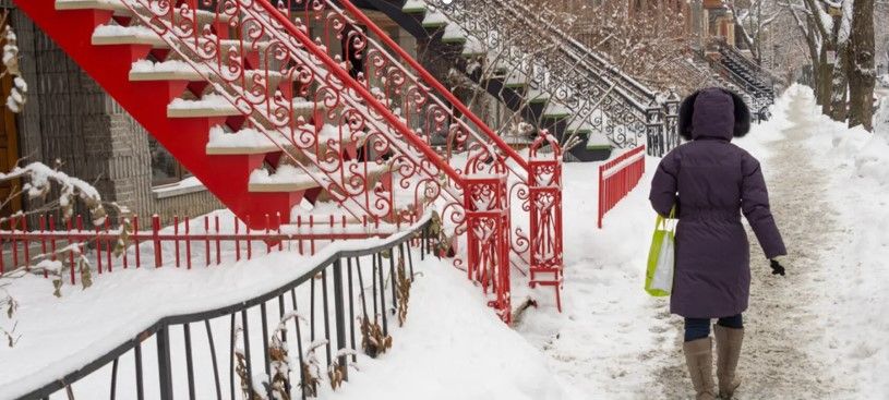 neige sur le sol